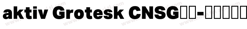 aktiv Grotesk CNSG字体字体转换